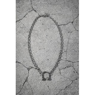 Stainless steel Prince Albert necklace